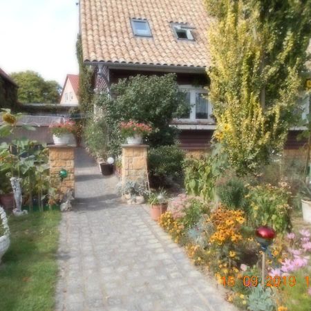 Vermiete Sehr Schoenes Apartment In Dankerode Im Harz エクステリア 写真