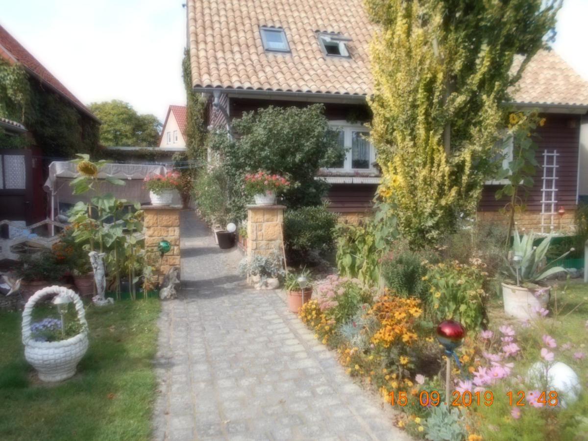 Vermiete Sehr Schoenes Apartment In Dankerode Im Harz エクステリア 写真