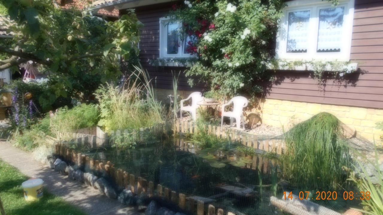 Vermiete Sehr Schoenes Apartment In Dankerode Im Harz エクステリア 写真