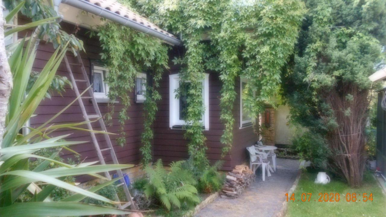 Vermiete Sehr Schoenes Apartment In Dankerode Im Harz エクステリア 写真