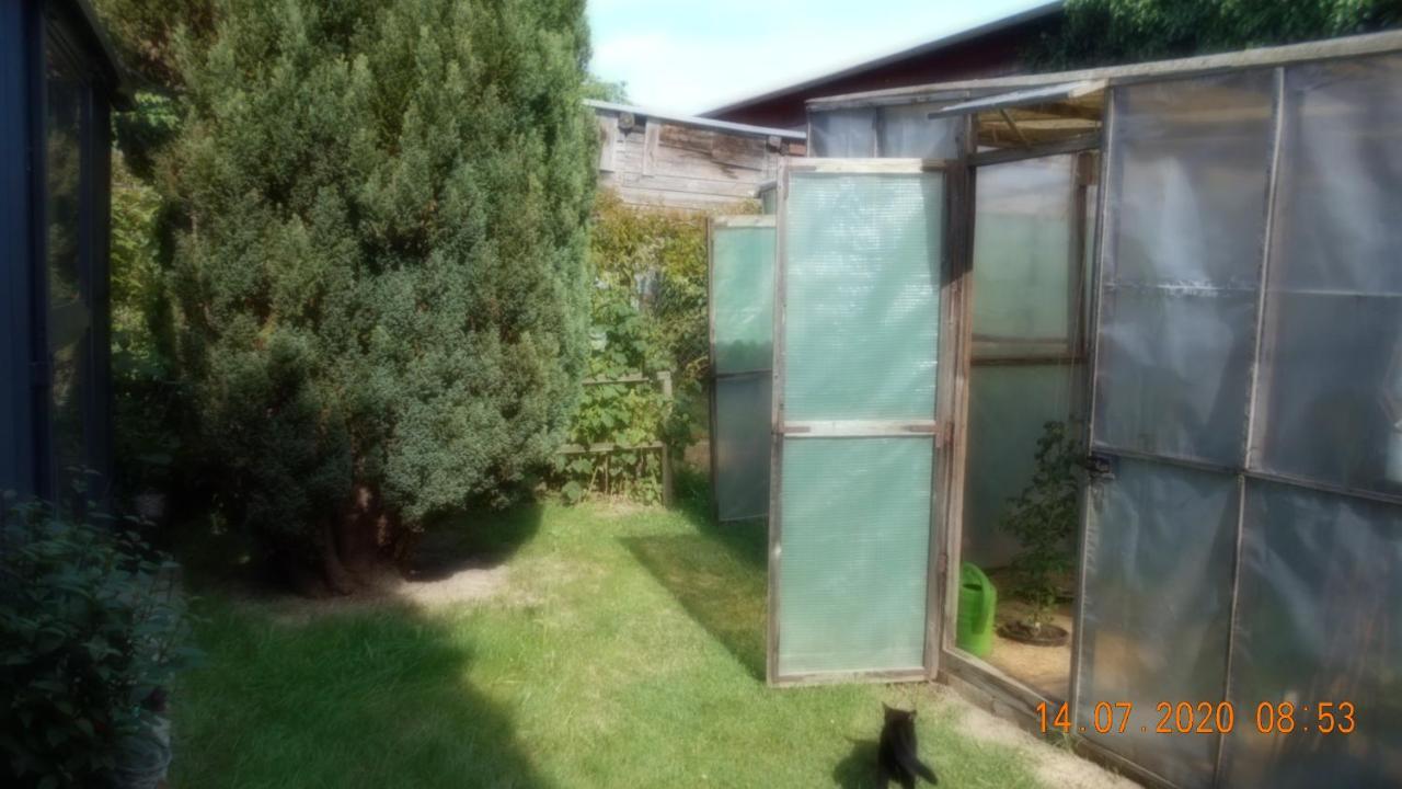 Vermiete Sehr Schoenes Apartment In Dankerode Im Harz エクステリア 写真